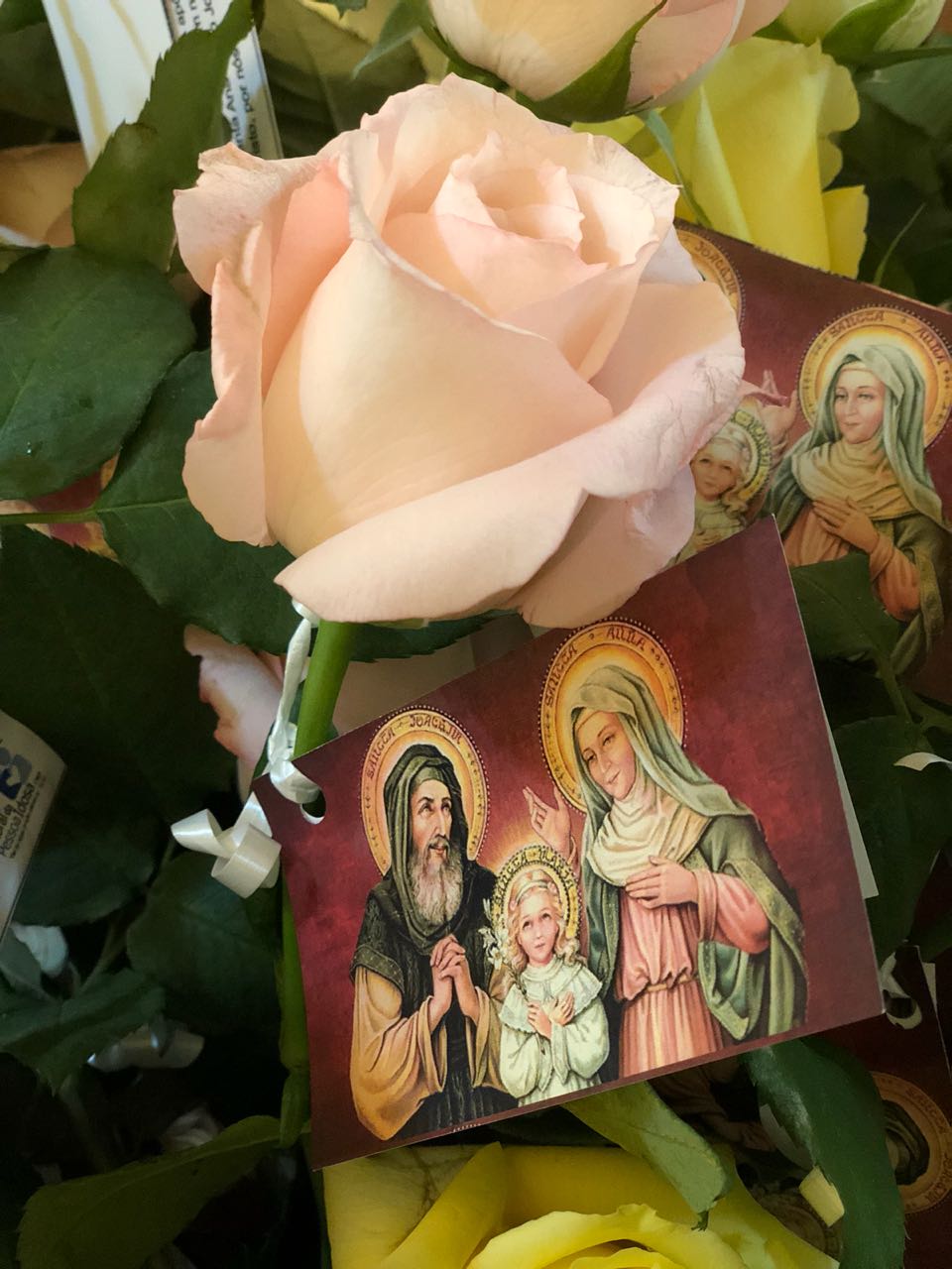 brasilia_7.jpeg - 136,37 kB