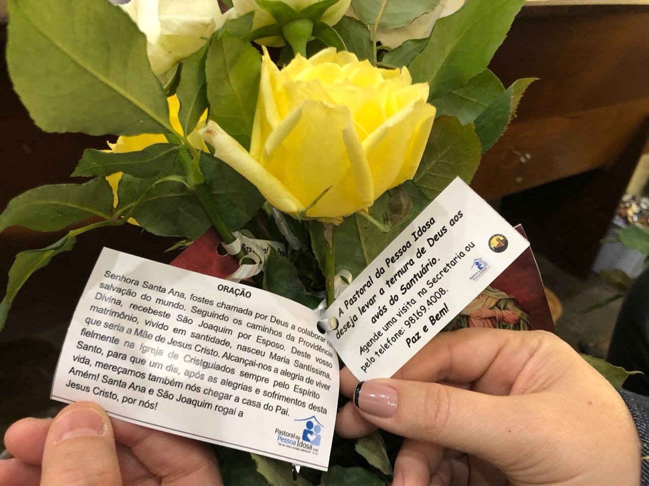 brasilia_8.jpeg - 142,65 kB