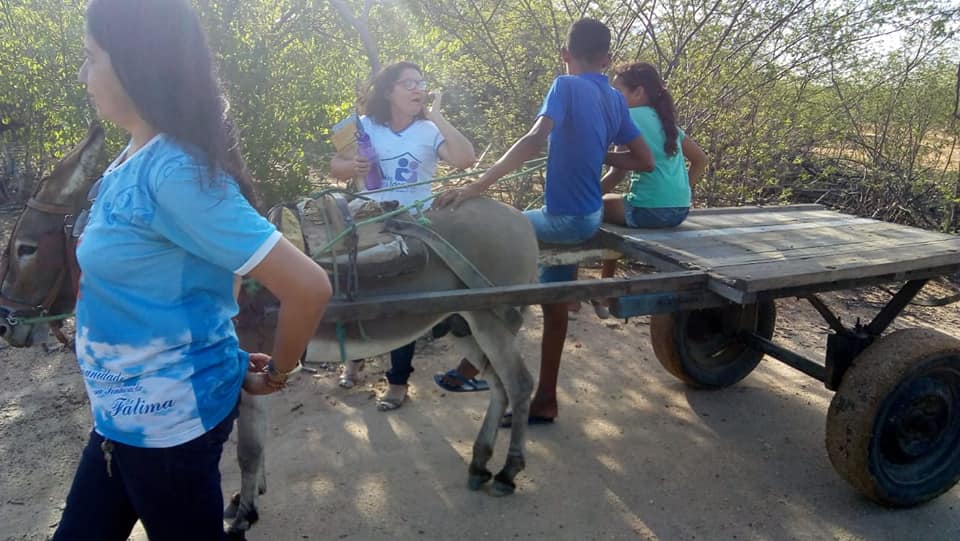 patos_5.jpg - 72,26 kB