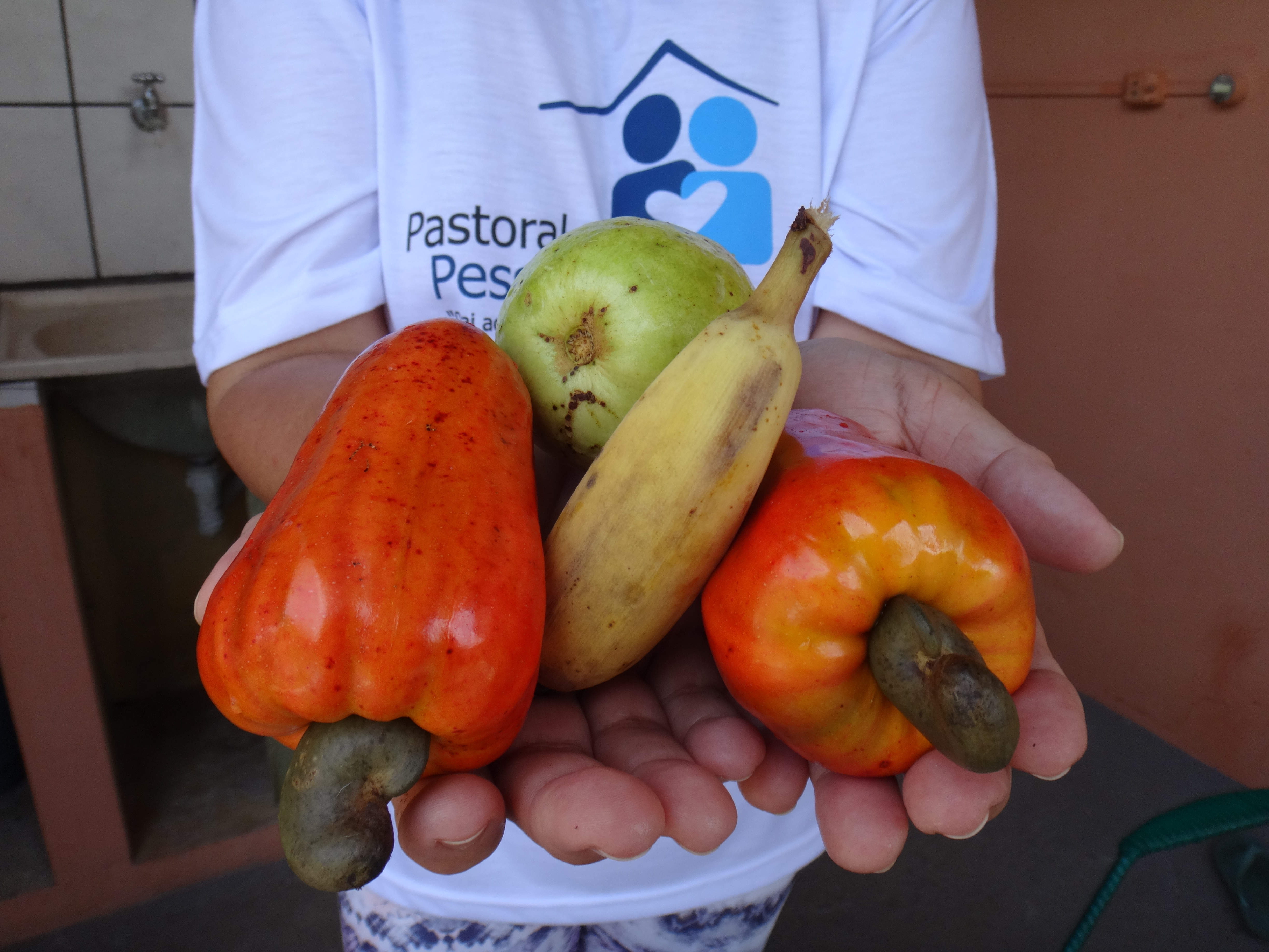 025-ato-de-comer.JPG - 5,03 MB