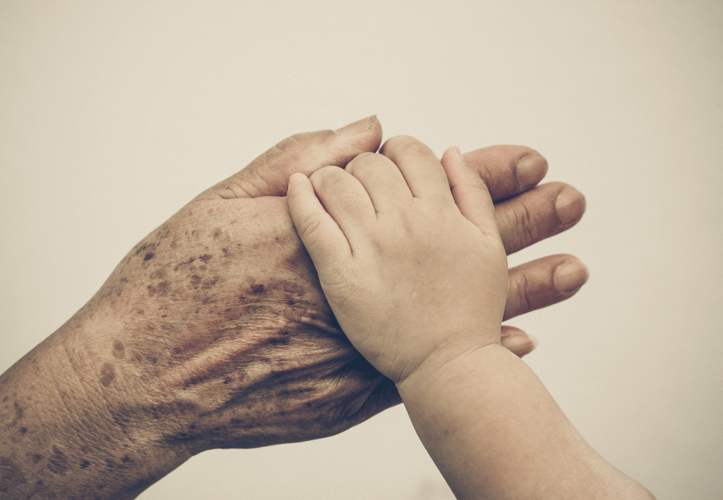 avs-1024x709.gif - 369,96 kB